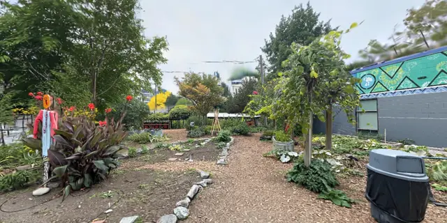 Urban Community Garden